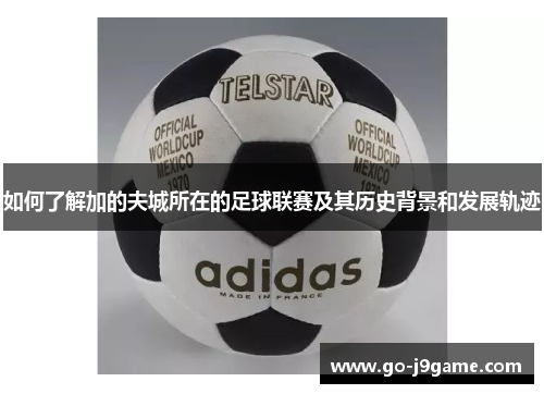 如何了解加的夫城所在的足球联赛及其历史背景和发展轨迹